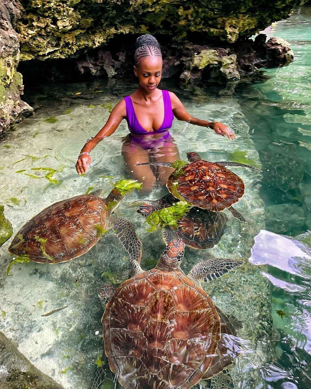 Ocean Encounters